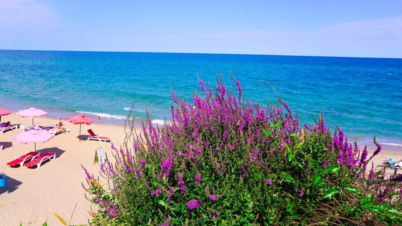 Бяла Виста Бийч Апартментс Д - Byala Vista Beach Apartments D Екстер'єр фото